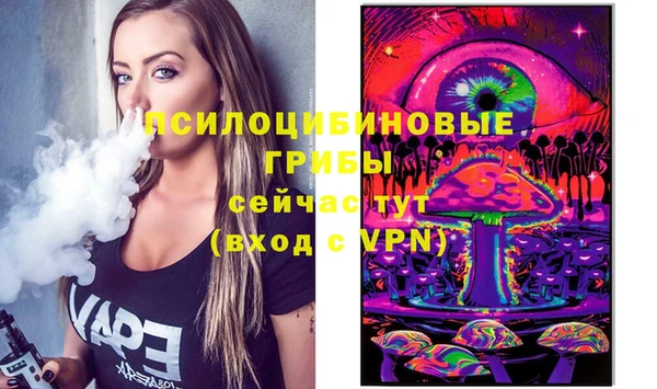 2c-b Горно-Алтайск