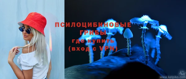 2c-b Горно-Алтайск
