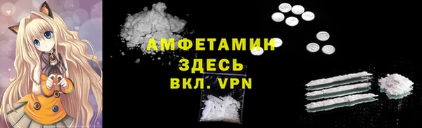 гашик Вязьма