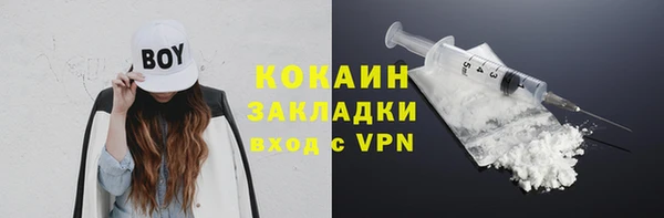 гашик Вязьма