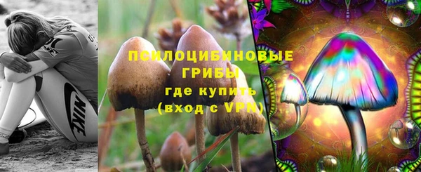 гашик Вязьма