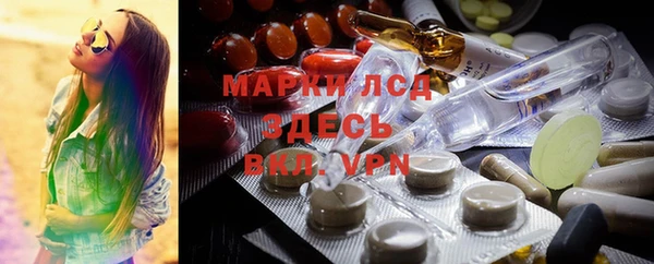 гашик Вязьма