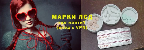 гашик Вязьма