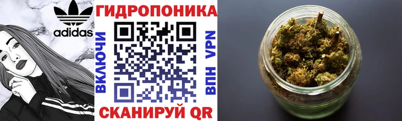Марихуана планчик даркнет сайт Джанкой